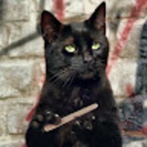 Meet your Posher, Annie